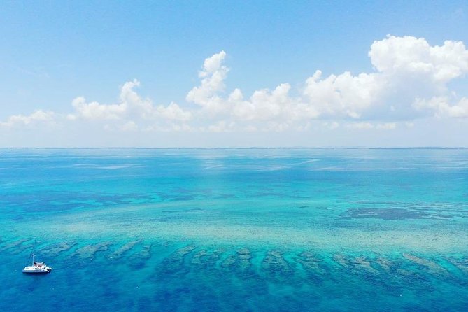 Key West Reef Morning Snorkeling with Breakfast and Mimosas - The Reef Experience: What You’re Likely to See