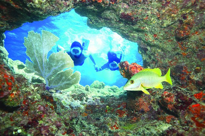 Key West Reef Snorkel – Morning Mimosas or Afternoon Margaritas - Key West Reef Snorkel Highlights You’ll Actually Feel