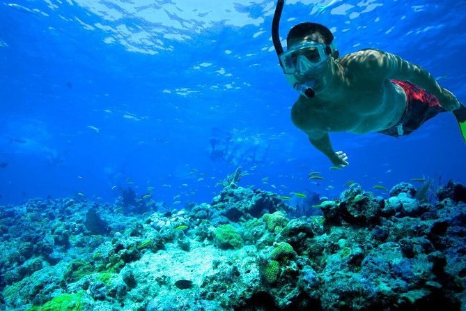 Key West Reef Snorkel – Morning Mimosas or Afternoon Margaritas - The Reef Snorkel Part: North America’s Only Living Coral Reef