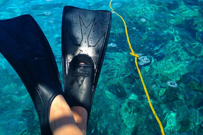 Key West Reef Snorkel & Sail Adventure - Price and Value: What $79 Buys You in Real Terms