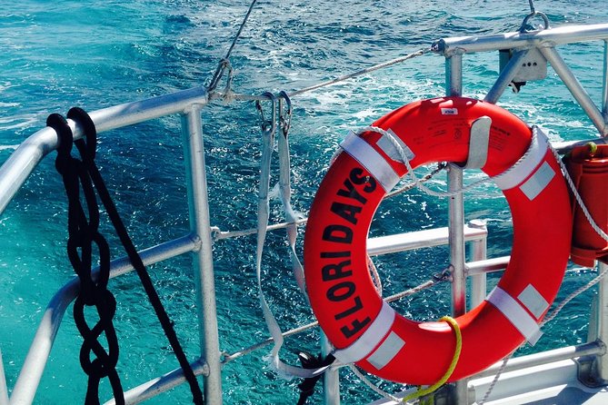 Key West Reef Snorkel & Sail Adventure - From Hyatt Centric to the Reef: The 3-Hour Timing You Should Expect