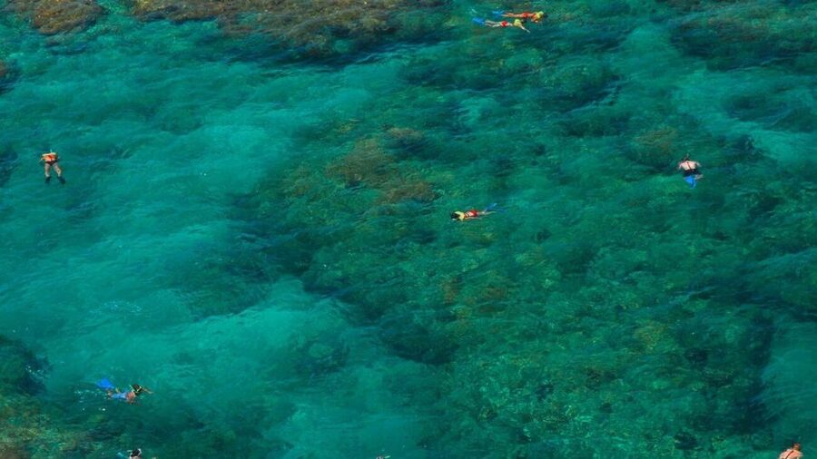 Key West: Reef Snorkeling with Drinks and Sunset Option - Meeting at Opal Key Marina: where the tour starts