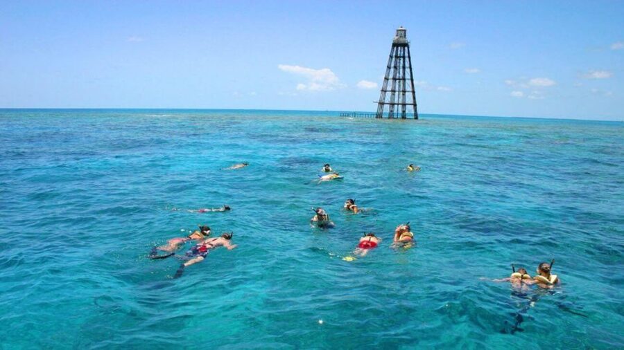Key West: Reef Snorkeling with Drinks and Sunset Option - Drinks and the timing rule: mimosas, margaritas, or rum punch