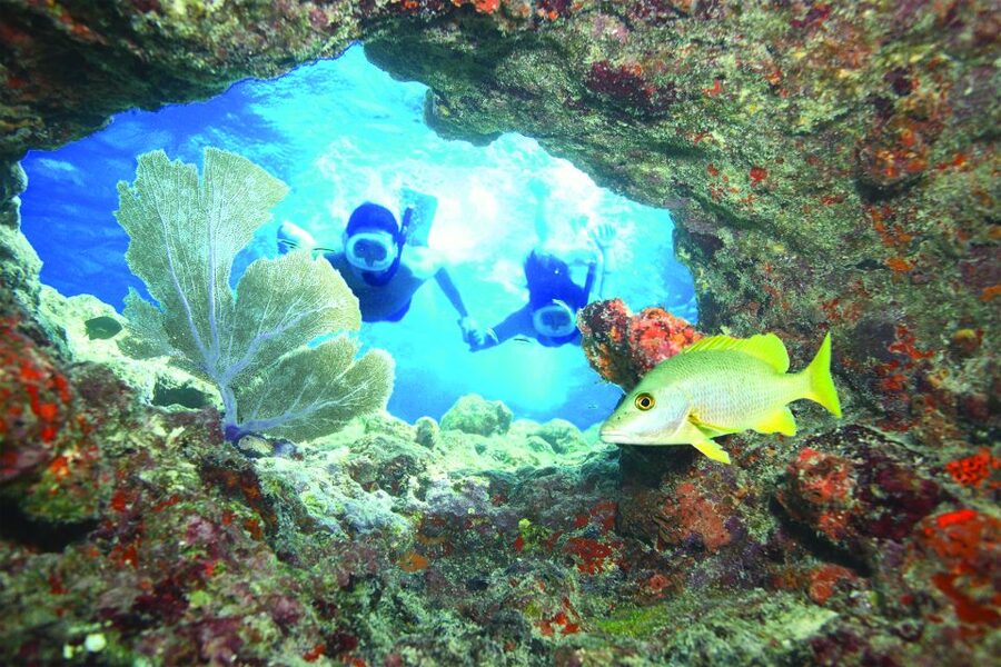 Key West: Reef Snorkeling with Drinks and Sunset Option - Price and value: what $34 gets you for 3 hours