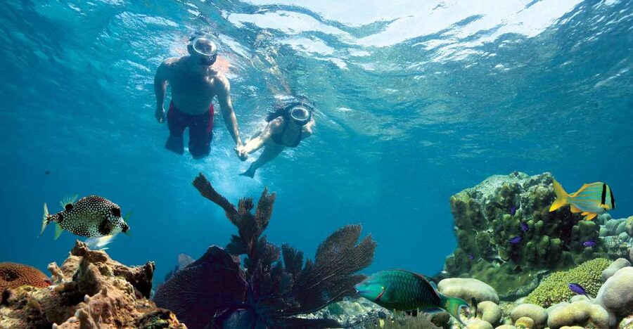 Key West: Reef Snorkeling with Drinks and Sunset Option - The 65-foot Fury catamaran feel: roomy, shaded, and built for comfort