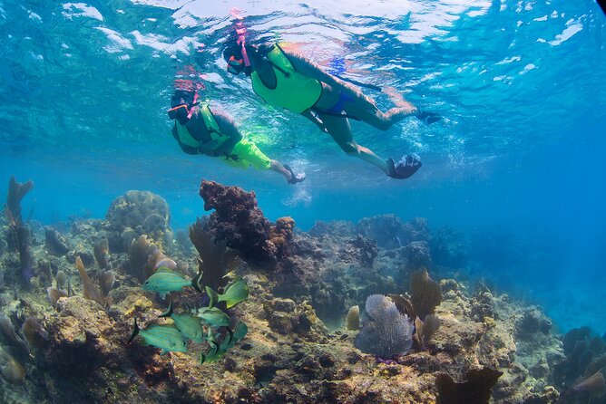 Key West Rum and Reggae: Reef Snorkel Adventure and Sunset Sail - Where you snorkel affects what you see, so go with the flow
