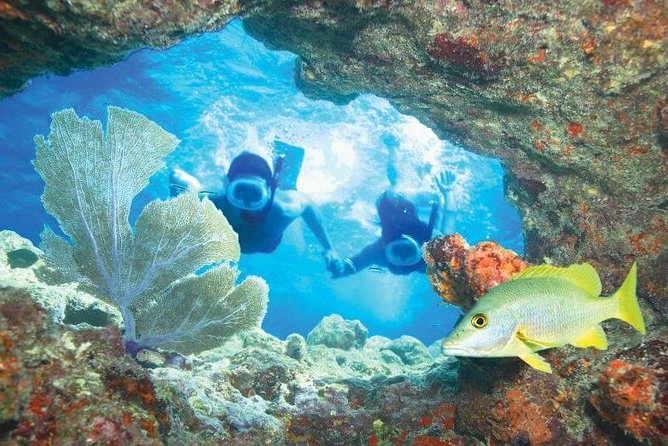 Key West Rum and Reggae: Reef Snorkel Adventure and Sunset Sail - Should you book this Key West Rum and Reggae reef snorkel-sunset sail?