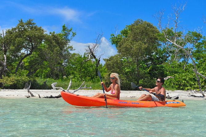Key West's Island Adventure Sandbar Tour with Kayaking - Wildlife Spotting Without Turning It Into a Checklist
