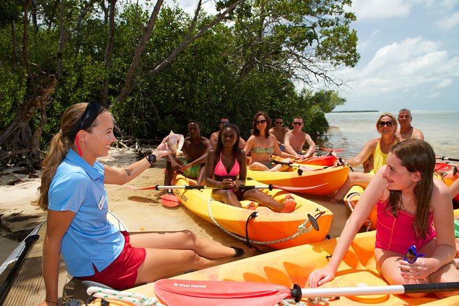 Key West's Island Adventure Sandbar Tour with Kayaking - Lunch and Drinks: Refueling So You Still Have Energy to Paddle