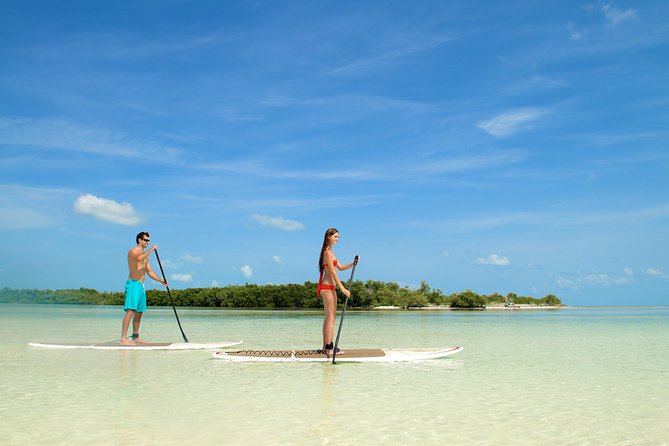 Key West's Island Adventure Sandbar Tour with Kayaking - Kayaking Through the Shallows, Following a Guide’s Line