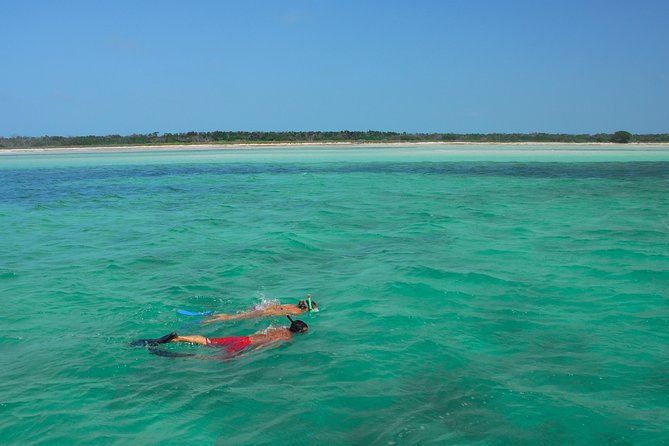 Key West's Island Adventure Sandbar Tour with Kayaking - Sunset Cruises: The PM Tour’s Best Selling Point