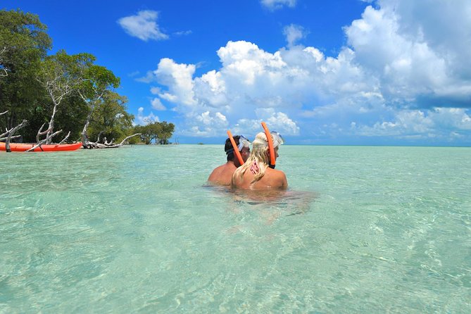 Key West's Island Adventure Sandbar Tour with Kayaking - The Catamaran Ride Through Mangroves and Key West Backcountry Water
