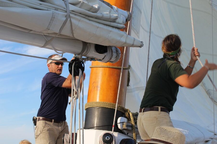 Key West: Schooner Sunset Sail with Food & Drinks - Wildlife off Key West: dolphins, sea turtles, and birds