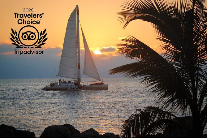 Key West Sunset Sail: Dolphin Watching, Wine, and Tapas - Food and drinks: wine, champagne, beer, and chef’s hors d’oeuvres