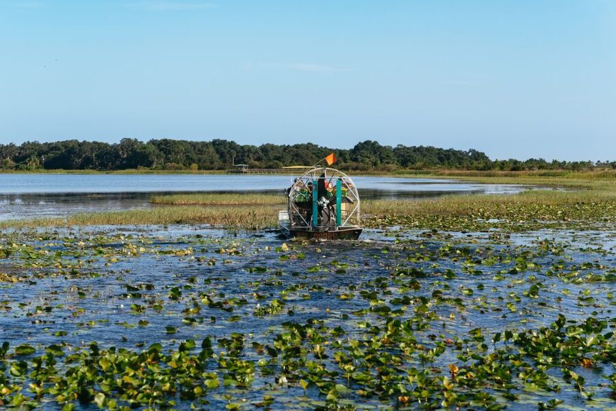 Kissimmee: Everglades Airboat Adventure Tour - Key reasons this airboat tour works