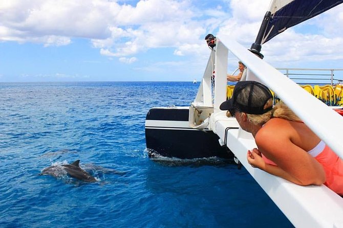 Ko Olina Catamaran Sail and Snorkel with Lunch - Why a Ko Olina catamaran day feels better than a basic reef boat