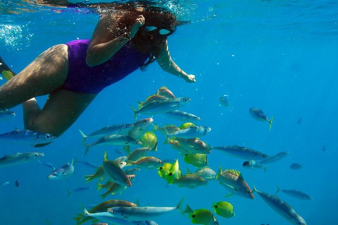 Ko Olina Catamaran Sail and Snorkel with Lunch - Lunch, 3 cocktails, and the comfort details that make the day feel finished