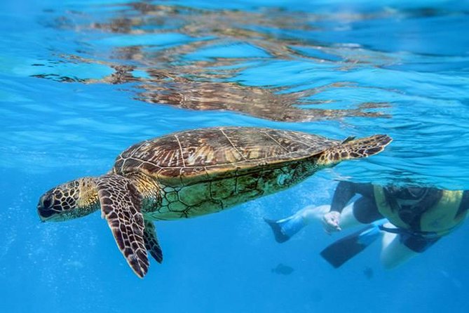 Ko Olina Catamaran Sail and Snorkel with Lunch - Price and timing: does $195 buy real value for 3 hours?