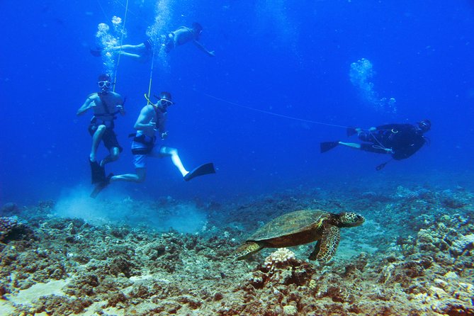 Ko Olina Catamaran Sail and Snorkel with Lunch - Who should book this catamaran, and who might want a different plan
