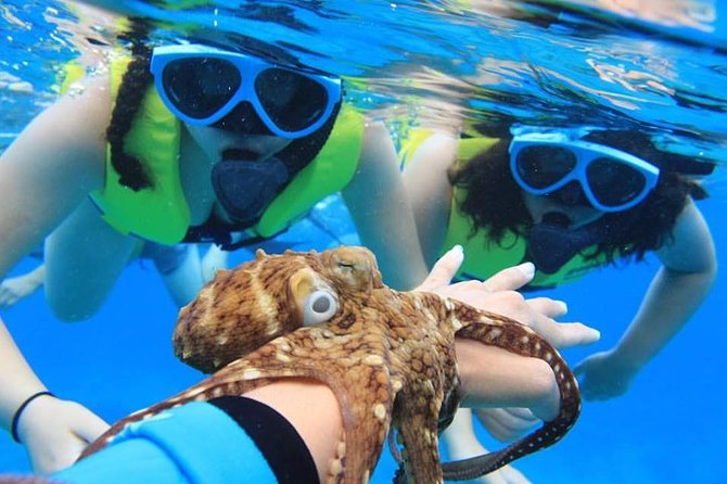 Ko Olina Catamaran Sail and Snorkel with Lunch - Ko Olina Marina check-in, waivers, and the smooth board-and-go rhythm