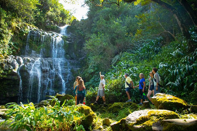 Kohala Waterfalls Small Group Adventure Tour - The Van Stops That Actually Help Your Day