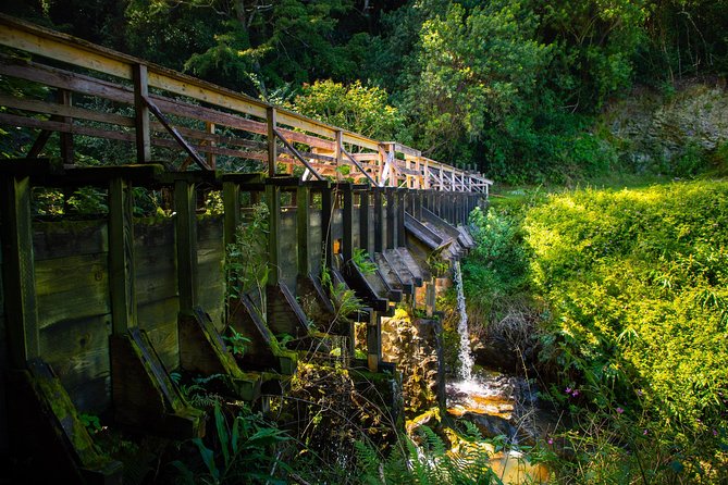 Kohala Waterfalls Small Group Adventure Tour - Lunch With a View of Mokulanikila