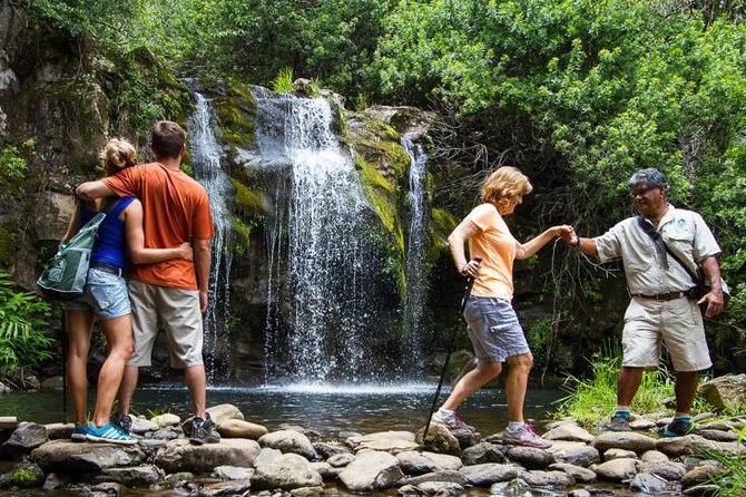 Kohala Waterfalls Small Group Adventure Tour - Guides Who Make the Land Feel Personal