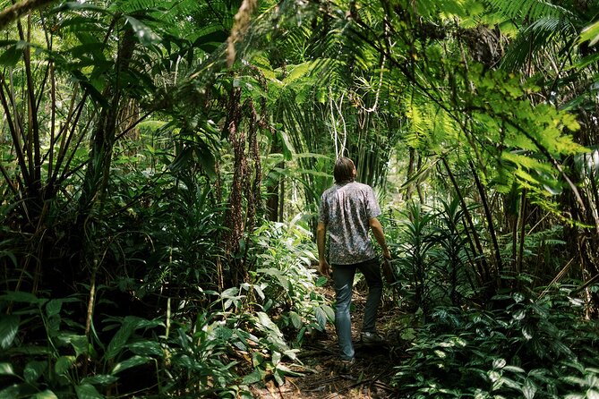 Kona Cloud Forest Sanctuary Montane Jungle Tour (2.5 hrs) - Key highlights you should know