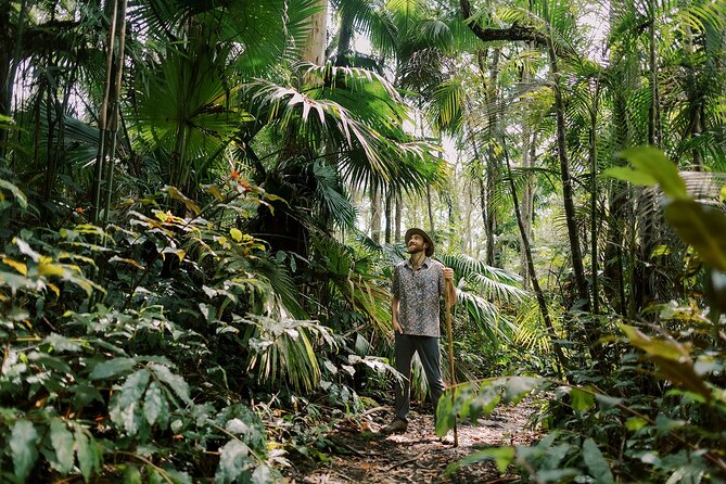 Kona Cloud Forest Sanctuary Montane Jungle Tour (2.5 hrs) - Practical tips: how to feel comfortable in a cloud forest