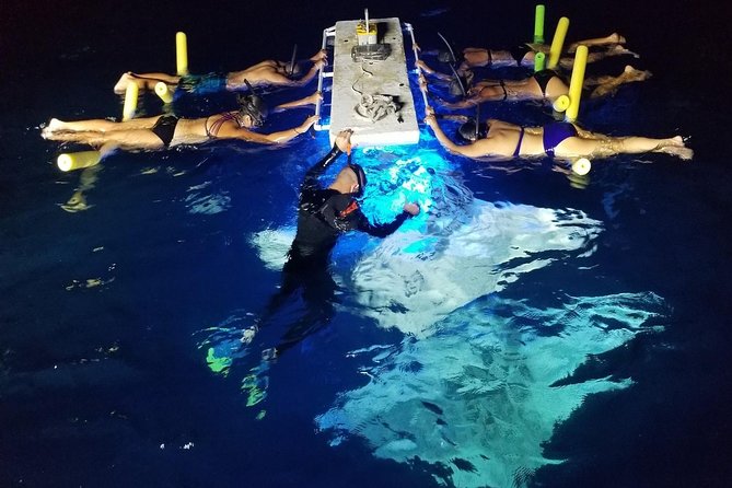 KONA Manta Ray Night Snorkel - FREE re-ride if no Sightings - Key Things to Know Before You Go