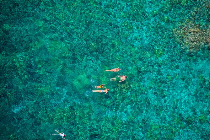 Kona’s Best Morning Snorkel: Captain Cook & Kealakekua Bay - Who this Kona cruise fits best