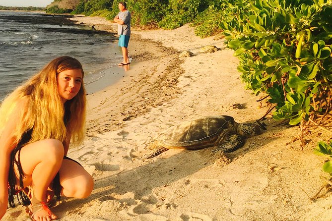 Kona Shore Excursion: Sea Turtles, Historic Kona & Coffee - Kaloko-Honokohau National Historical Park: Settlement History and Fish Trap Clues