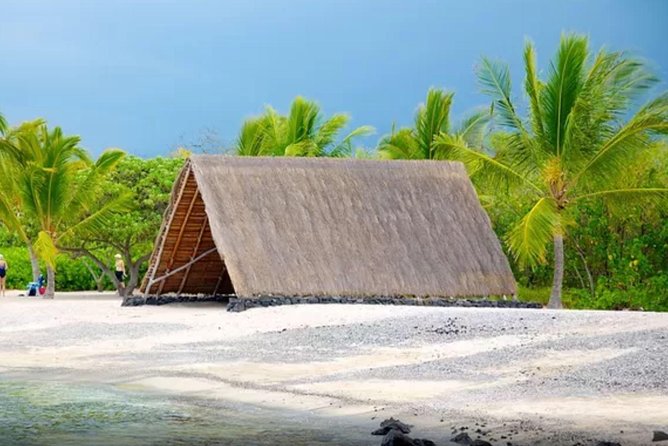 Kona Shore Excursion: Sea Turtles, Historic Kona & Coffee - Honokohau Turtle Trail: Your Best Shot at Green Sea Turtles
