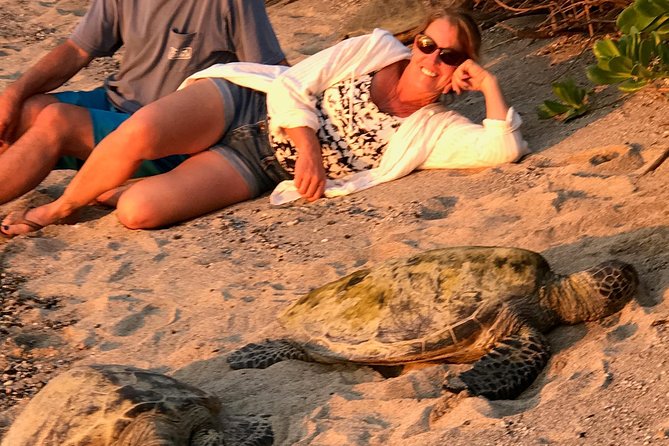 Kona Shore Excursion: Sea Turtles, Historic Kona & Coffee - Price and Value: Is $149 Really Worth a Cruise Half-Day?