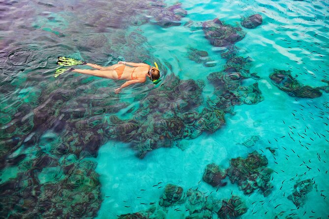 Kona Snorkel Tour: Captain Cook Reef Snorkel, Dolphin & Sea Caves - Comfort, Safety, and What to Pack (So You Enjoy It More)