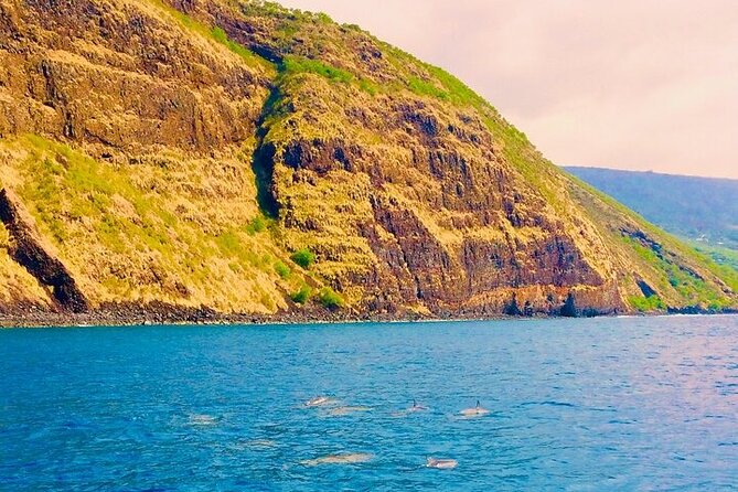 Kona Snorkel Tour: Captain Cook Reef Snorkel, Dolphin & Sea Caves - Who This Tour Fits Best