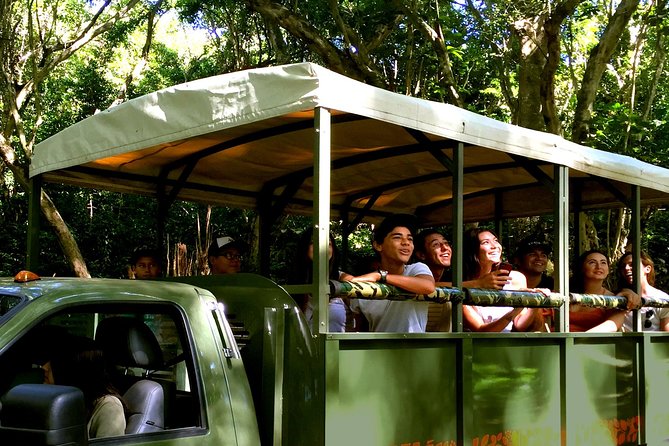 Kualoa Ranch: Jungle Expedition Tour - Kualoa Ranch: A working cattle ranch, not a theme park