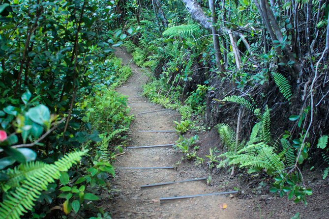 Kualoa Ranch: Jungle Expedition Tour - Booking rhythm, group size, and what to do before you go