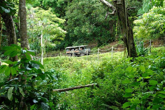 Kualoa Ranch: Jungle Expedition Tour - What you’re riding, and why it changes the whole experience