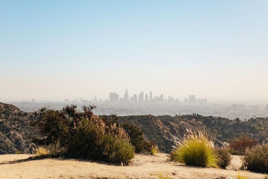 LA: Express Hollywood Sign Guided Walking Tour with Photos - Weather, Clouds, and When the View Holds Up