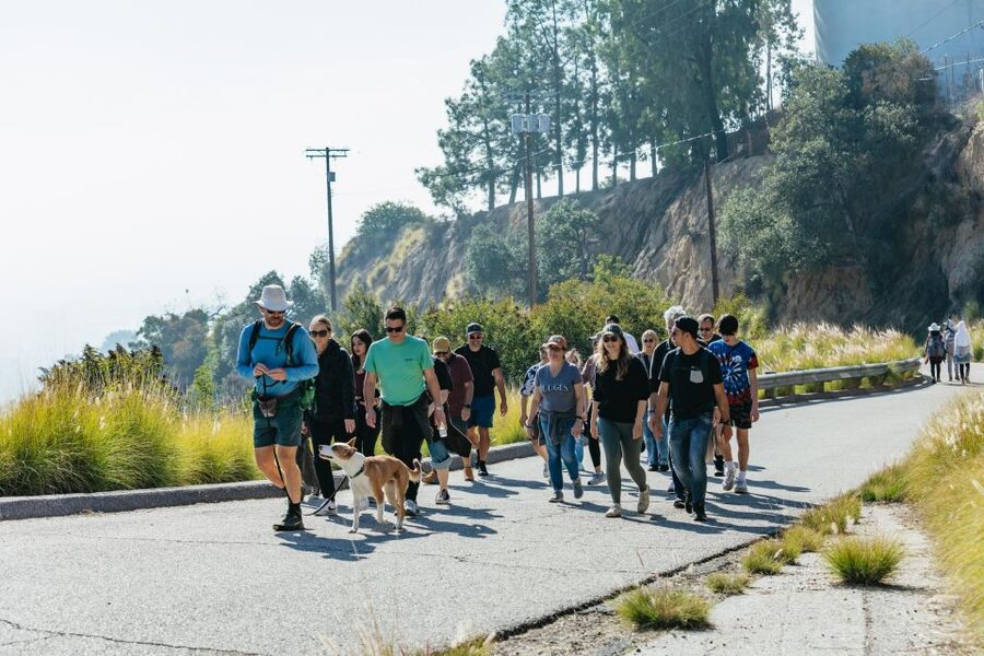 LA: Express Hollywood Sign Guided Walking Tour with Photos - Hollywood Sign Views and Studio Spotting: What You Should Look For