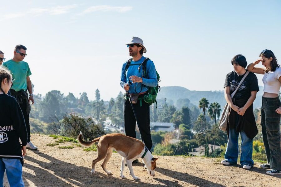 LA: Express Hollywood Sign Guided Walking Tour with Photos - Water, Snacks, and the Small Comforts That Matter on a Hill