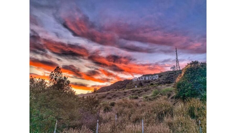 LA: Hollywood Sign Tour with Comedians, Dogs, & Epic Photos - Photo help that actually improves your results