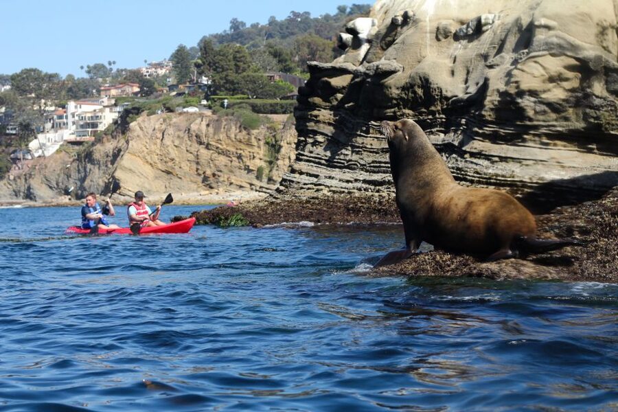 La Jolla: 2-Hour Kayak Tour of the 7 Caves - How the guide experience affects your photos and your confidence