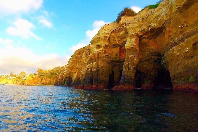 La Jolla Sea Caves Kayak Tour For Two (Tandem Kayak) - Key takeaways before you go
