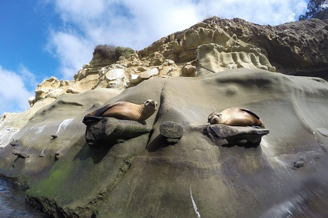 La Jolla Sea Caves Kayak Tour For Two (Tandem Kayak) - La Jolla Sea Caves kayak: what you really get to see