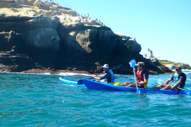 La Jolla Sea Caves Kayak Tour For Two (Tandem Kayak) - From La Jolla Shores to the caves: rock formations and wildlife time