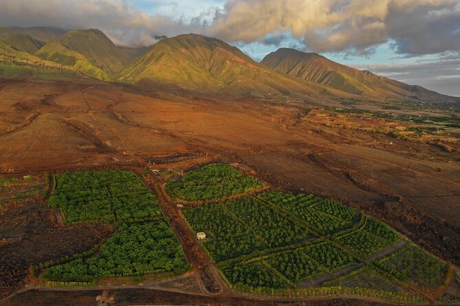 Lahaina: Maui Ku'ia Estate Guided Cacao Farm Tour and Tasting - Group size and comfort: small can still feel tight