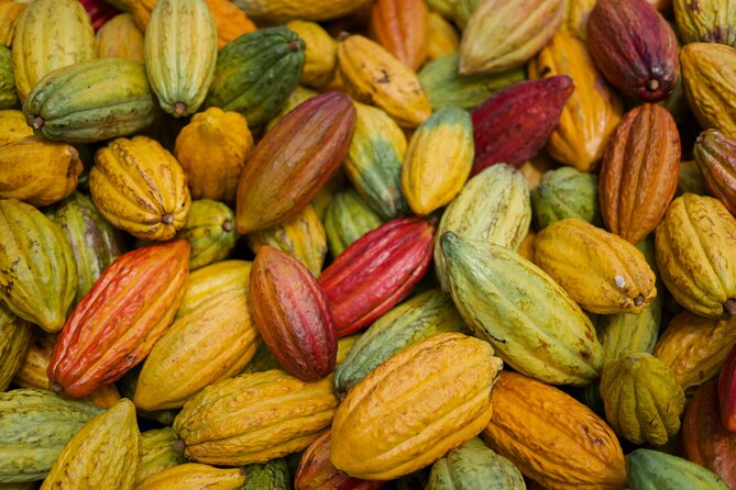 Lahaina: Maui Ku'ia Estate Guided Cacao Farm Tour and Tasting - Weather, timing, and what to pack for a smooth visit