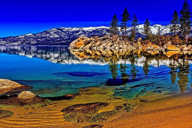 Lake Tahoe Small-Group Photography Scenic Half-Day Tour - The Eagle sanctuary and animal spotting time (how to work the moment)